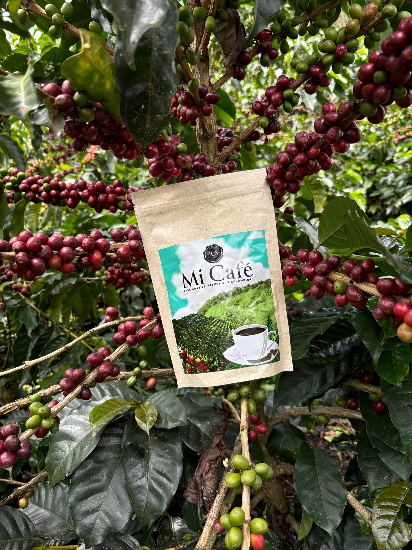 Mi Café - ganze Bohne (250g)